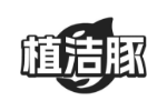 植洁豚