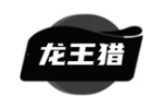龙王猎