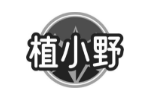 植小野
