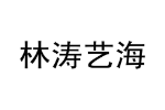 林涛艺海