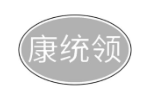 康统领