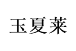 玉夏莱
