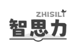 智思力