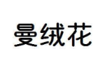 曼绒花