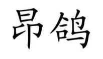 昂鸽