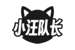 小汪队长