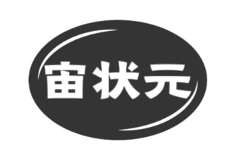 宙状元