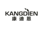 康迪恩
