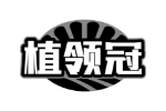 植领冠