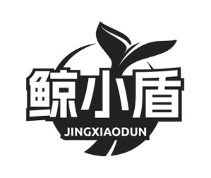 鲸小盾