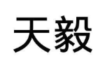 天毅