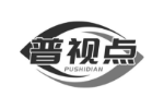 普视点