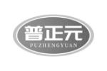 普正元