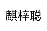 麒梓聪