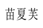 苗夏芙