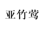 亚竹莺