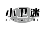 小卫迷