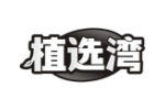 植选湾