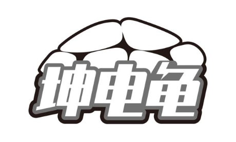 坤电龟