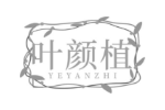 叶颜植