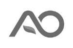 AO