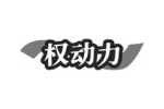 权动力