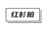 红杉柏